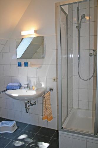 a bathroom with a sink and a shower at Ferienhof Bisdorf "Sundbrücke" in Bisdorf