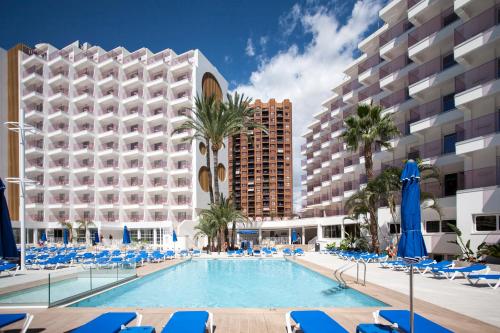 uma piscina com cadeiras azuis e edifícios em Ambassador Playa II em Benidorm