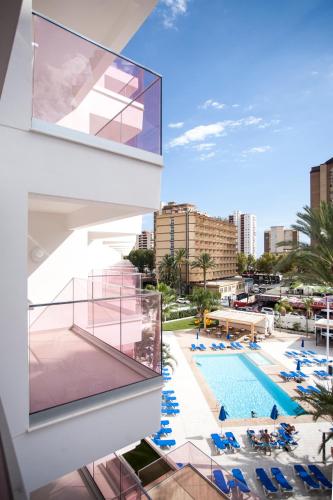 Ambassador Playa II photo 41