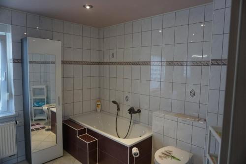 A bathroom at Am Sachsenstein - Zum Skispringer