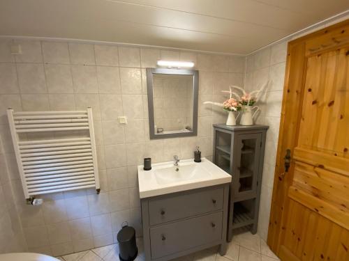 een badkamer met een wastafel en een spiegel bij Luxus Ferienhaus, direkt am Wald, Terrasse&Garten, Grill, ruhige Lage, WLAN, Wandern, in Wienrode