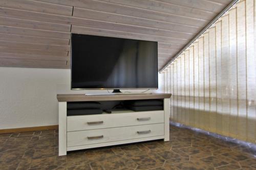 TV en la parte superior de un tocador en una habitación en Ferienwohnung am Harz, en Seesen