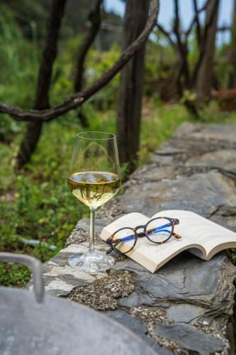 a glass of white wine and a book and glasses at Villa Smith in Vernazza