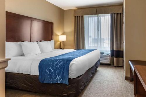 a hotel room with a large bed and a window at Comfort Suites Airport-University in Bozeman