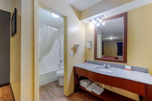 Econo Lodge tesisinde bir banyo