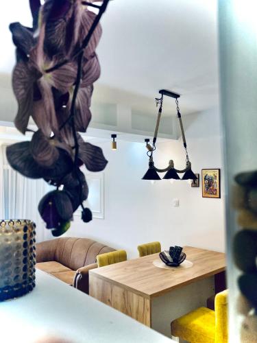 Fotografie z fotogalerie ubytování Apartman Živanović v destinaci Valjevo