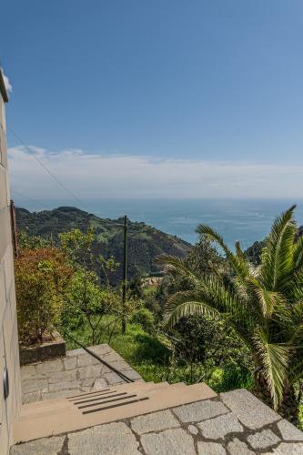 Il Mare in Verticale, Terre Marine – Photos 2