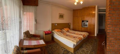 オロシュハーザにあるKörmendi Apartmanのベッドルーム1室(ベッド1台、椅子付)