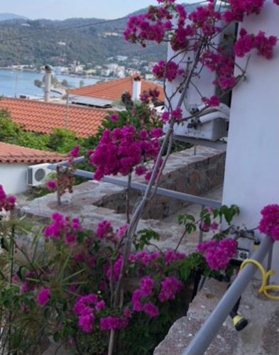 a bunch of purple flowers on the side of a building at VERANDA BLUE - POROS in Poros