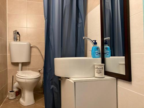 baño con lavabo, aseo y cortina de ducha azul en Къща Христини, en Kalofer