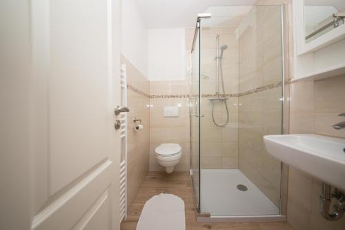 a bathroom with a shower and a toilet and a sink at Schleiblick App 2 in Rabenkirchen-Faulück