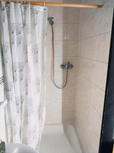 baño con ducha con cortina blanca en Penzion Vysočina, en Škrdlovice