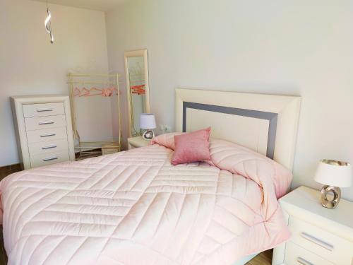 een slaapkamer met een roze bed en een roze kussen bij LA CASITA DEL NORTE in Marrón