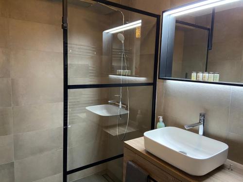 a bathroom with a sink and a glass shower at Bosboerderij de Veluwe, luxe huisje in het bos in Lunteren