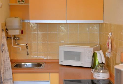 eine Küche mit einer Spüle und einer Mikrowelle in der Unterkunft Fewo 91 WHG C 11 in Burhave in Burhave