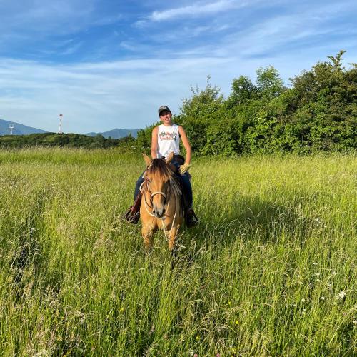 a person riding a horse in a field at Domčeky na Ranči in Sučany