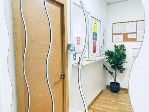 una habitación de hospital con una puerta y una planta en CH Rayuela, en Madrid