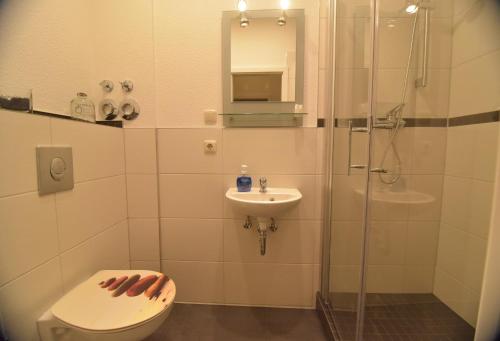 a bathroom with a shower and a toilet and a sink at Am Schloss 16 in Schwerin