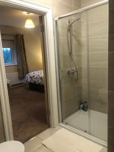 W łazience znajduje się prysznic ze szklanymi drzwiami. w obiekcie MapleHouse B&B w mieście Drogheda