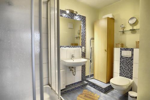 ツィングストにあるSeestern FW 2のバスルーム(洗面台、トイレ、シャワー付)