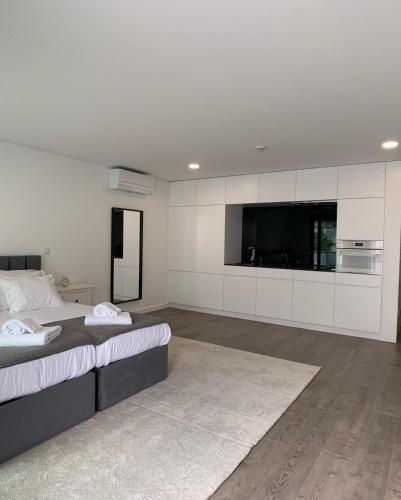1 dormitorio con 2 camas y TV de pantalla plana en PALHOTAS GUEST HOUSE - Apartamento Sé de Braga, en Braga