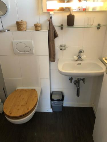 a bathroom with a toilet and a sink at Le Coin Barlouka in Veysonnaz
