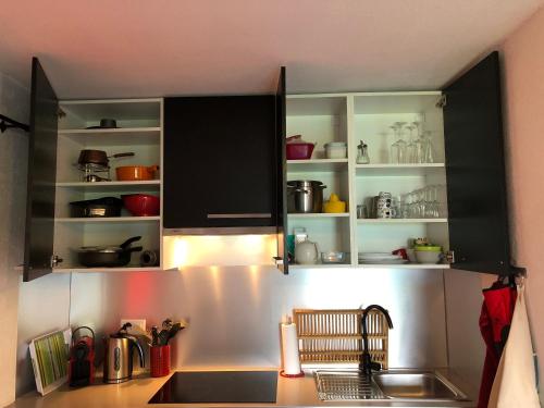 a kitchen with black cabinets and a sink at Le Coin Barlouka in Veysonnaz