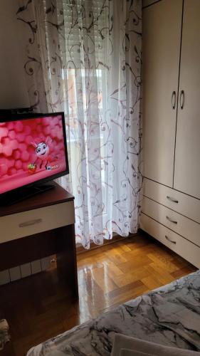 Μια τηλεόραση ή/και κέντρο ψυχαγωγίας στο Apartman Ema
