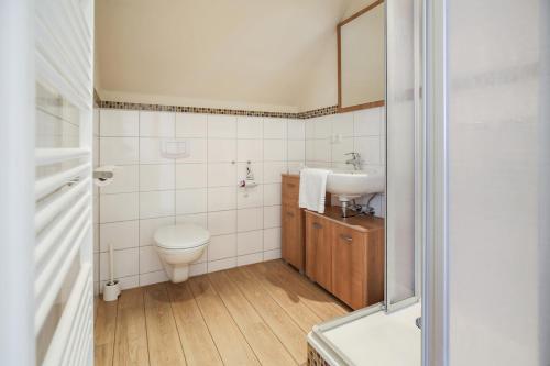 a bathroom with a toilet and a sink at Ferienhof Büdlfarm - Scheune in Sahrensdorf