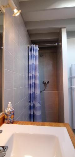 une salle de bain avec baignoire et douche dans l'établissement Charmante maisonnette, à Orléans