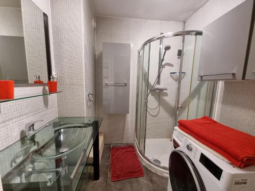 アンヌマスにあるSaleve - close to Geneva 64m2-wifi-parking-2 bedroomsのバスルーム(シャワー、洗濯機付)