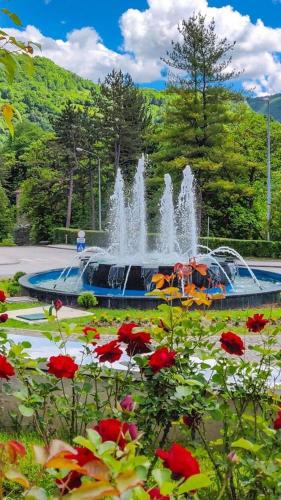 a fountain in a park with red flowers at Paulinio in Jajce