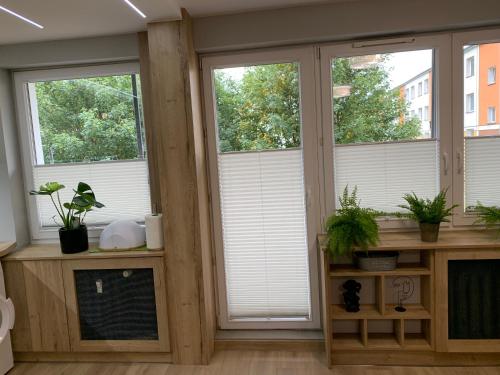 a room with three windows with white blinds and potted plants at Apartment Nadia in Ełk