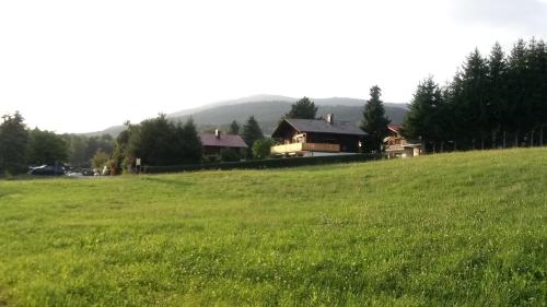 ein Grüngrasfeld mit Häusern im Hintergrund in der Unterkunft Fewo Bayerischer Wald, mit Wlan in Arrach