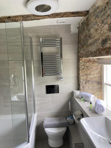 a bathroom with a shower and a toilet and a sink at Furzeleigh Mill Inn in Buckfastleigh