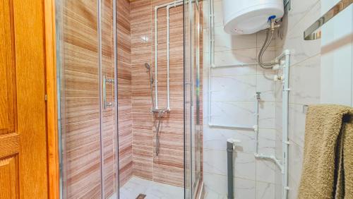 a shower with a glass door in a bathroom at Brvnara Vukovine in Nova Varoš