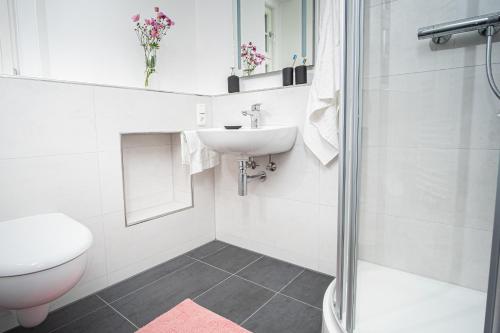 La salle de bains est pourvue d'un lavabo, de toilettes et d'une douche. dans l'établissement Altstadt Apartment, à Goslar