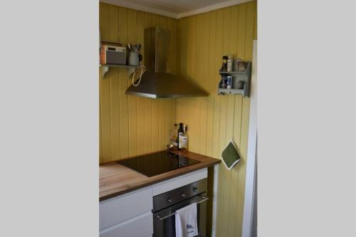 Kuchyň nebo kuchyňský kout v ubytování Cozy Country House