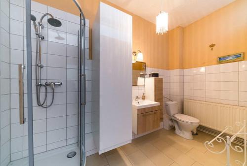 ein Bad mit einer Dusche, einem WC und einem Waschbecken in der Unterkunft Grafensuite auf Schloss Semlow in Semlow