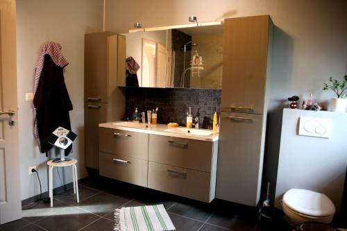 ein Bad mit einem Waschbecken und einem Kühlschrank in der Unterkunft Une parenthèse en Ardenne in Nollevaux