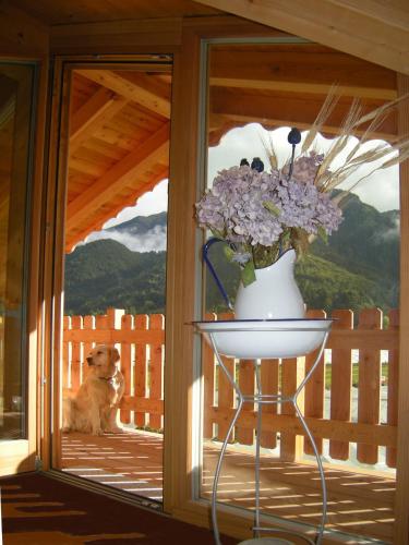 B&Bから撮影された、または一般的な山の景色