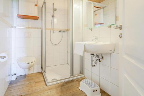 a bathroom with a shower and a sink and a toilet at Ferienhof Büdlfarm - Haus - 51640 in Sahrensdorf