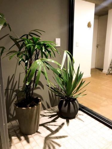 two potted plants sitting on a table in a room at Cilveti 468 departamento con cochera, excelente ubicación in Rosario