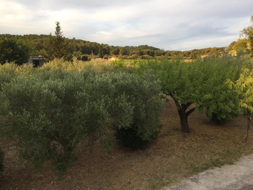 an overhead view of trees and bushes in a field at Il y a le Soleil, la Campagne et la Mer …1 in Martigues