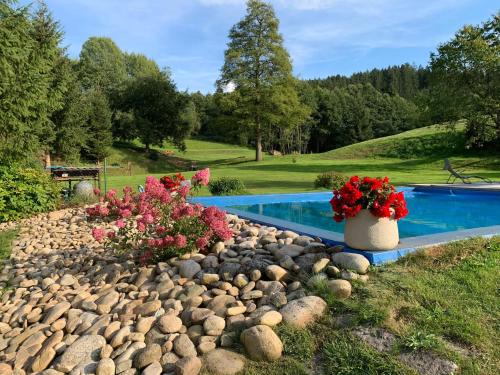 a swimming pool with rocks and flowers in a yard at Ubytování Chotěvice in Hostinné