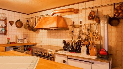 馬克特奧伯多夫的住宿－Landvilla Theresien-Gut, 20 - 25 Personen，厨房配有炉灶和带餐具的台面。