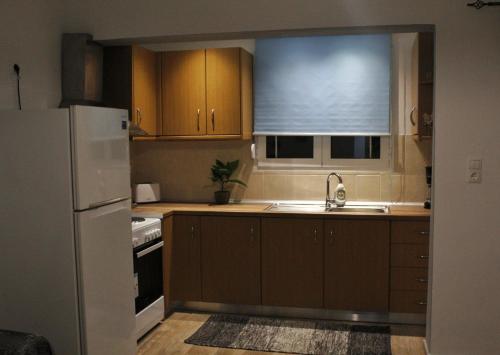 a kitchen with a sink and a refrigerator and a window at Vaso's apartment in Néa Alikarnassós