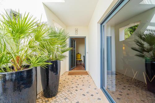 a hallway with plants in large black pots at Casa na Praia do Meco in Sesimbra