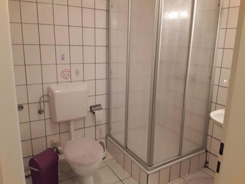 a bathroom with a shower and a toilet at Mirscheiderhof in Weidenbach
