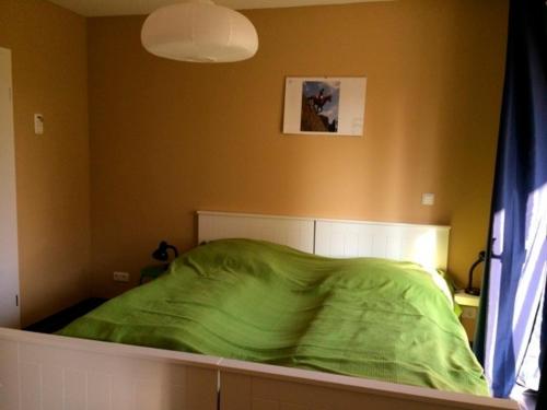 a bed with a green comforter in a bedroom at Mahari in Friedenstal